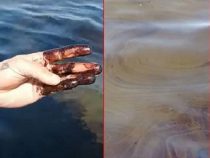 Umweltkatastrophe: Schiff erleidet Ölunfall