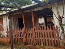 Sie stellte sich tot, damit der Fremde sie nicht ermordete