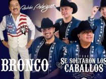 Bronco kehrt nach Paraguay zurück