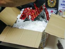 Verbotene Fracht aus Deutschland wurde konfisziert