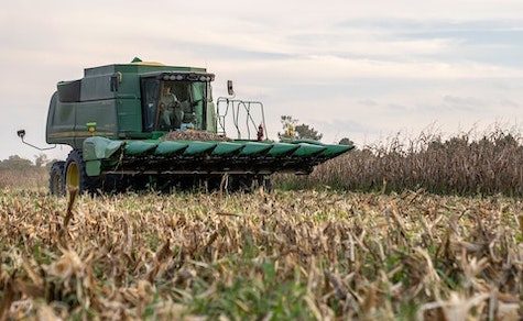 Warten auf den Regen: Bauern kämpfen mit verspätetem Anbauzyklus