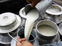 Gute Nachrichten für den Einkaufskorb: Milchpreise sinken pünktlich zum Jahreswechsel