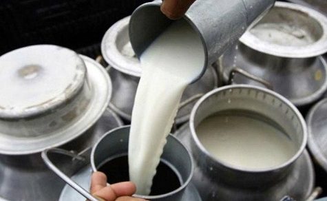 Gute Nachrichten für den Einkaufskorb: Milchpreise sinken pünktlich zum Jahreswechsel