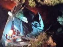 Pferd rennt auf Straße: Autofahrer kommt bei Zusammenstoß ums Leben