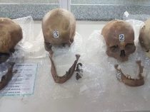 Mit vier Totenschädeln im Koffer auf Reise