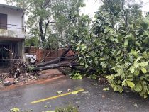 Schweres Unwetter überzog weite Teile des Landes
