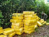 Canindeyú: Fünf Polizisten wegen Drogenkonvoi entlassen und Ermittlungsleiter unter die Lupe genommen 