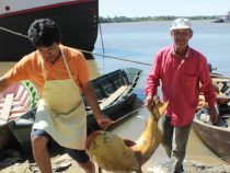 Das Fischereiverbot beginnt am heutigen Sonntag und das Umweltministerium kündigt strenge Kontrollen an