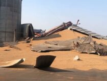 Campo 9: Schockierende Moment als Silo zusammenbricht