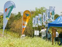 Syngenta präsentiert das Umweltprogramm “multifunktionale Landschaften“