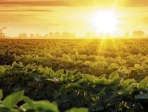 2025: Warnung vor intensiven Regenfällen und Hitzewellen