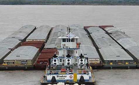 Studie spricht von einer „illegalen Revolution“, die den Handel beeinträchtigt