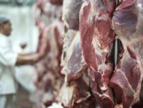 Paraguay will sich bis 2025 auf den Philippinen und in Singapur positionieren