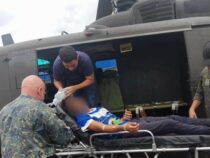 Nach Schlangenbiss mit dem Hubschrauber ins Krankenhaus geflogen