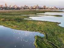 Paraguay: Die niedrigsten Steuersätze in der Region