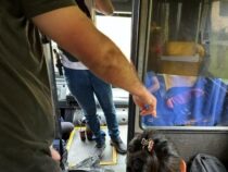 Frau festgenommen, die Marihuana im Bus transportierte