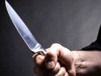 Frau wegen Verdachts auf Mord an ihrem Partner nach Streit festgenommen