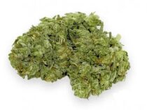 Die medizinischen Vorteile von Cannabis und die unerwünschten Nebenwirkungen im Ausland
