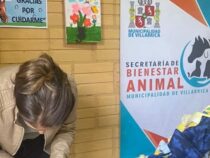 Kampagne “Schützen wir unsere vierbeinigen Freunde“ ins Leben gerufen