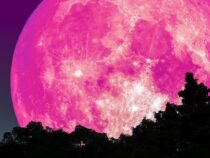 Pink Moon: Wann und wo ist das astronomische Phänomen zu sehen?