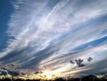 Chemtrails: Ist die Mücke nicht der Schuldige bei der Chikungunya-Epidemie?