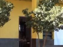 Weiterer Gewaltakt in einem Klassenzimmer: Lehrerin wird brutal angegriffen