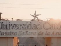 Kritik an Bildungstrends: Junge Leute wählen weiterhin die Klassiker von vor 20 Jahren