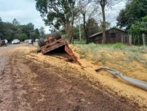 Motorrad ausgewichen: LKW mit Soja kippt um