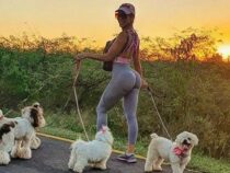 Ein Herz für verlassene Hunde: Model verkauft ihre Wäsche