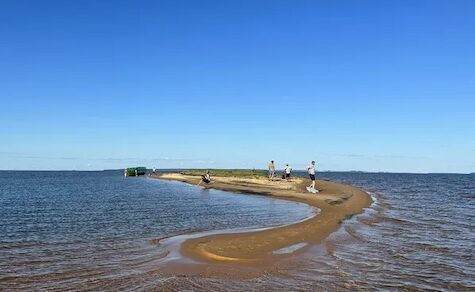 Pläne zur Wiederbelebung der exotischen Dünen von San Cosme y Damián