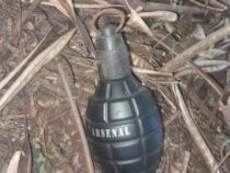 Explosiver Geschmack
