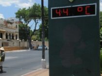 Haben wir bald Höchsttemperaturen von 50 Grad?