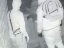 Bellende Hunde vereiteln Einbruch