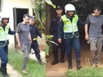 Kopfverletzung vereitelt Einbruch