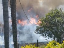 Schwarzfischer lösen angeblich Großbrand auf Grundstück eines Deutschen aus