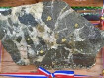 Festival: Gewinnen Sie Gold mit einer Eintrittskarte