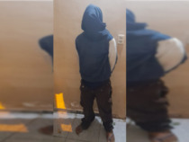 Hundegebell führt zur Festnahme