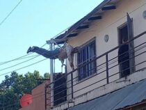 Maler stürzt vom Dach eines Hauses in die Stromleitung und überlebt wie durch ein Wunder