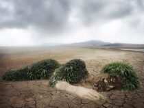 Gemeinsam gegen den Klimawandel: Wie jeder Einzelne zur Rettung unseres Planeten beitragen kann