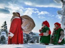 Elfen für Weihnachten gesucht