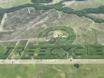 Paraguay auf dem Weg zu einem neuen Weltrekord – dank des Schweizer Unternehmens Global TREE Project AG (GTP AG)
