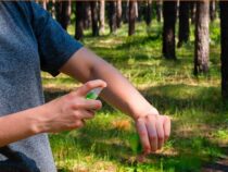 Empfehlungen für den sicheren Einsatz von Insektenschutzmitteln
