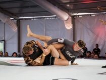 Unterschiede und Gemeinsamkeiten von UFC und MMA im Vergleich