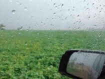 Heftige Regenfälle geben den Landwirten Anlass zur Sorge