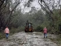 Symbolträchtiger grüner Tunnel durch Unwetter zerstört