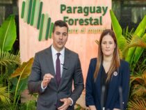 Paraguay will sich als führender Standort für Forstinvestitionen etablieren