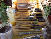 Marihuana im Gefängnis kultiviert