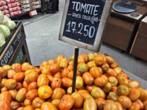Tomaten: Nachfrage größer als das Angebot – Preis schießt in die Höhe