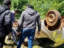 Zusammenstoß mit Rind: Beifahrer stirbt und Fahrer flüchtet