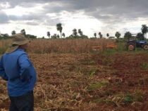 Landwirte in Itapúa besorgt über den Anstieg der Kriminalität